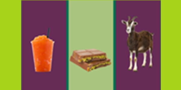 Where did food standards drop last year? 614_FSA AR.jpg